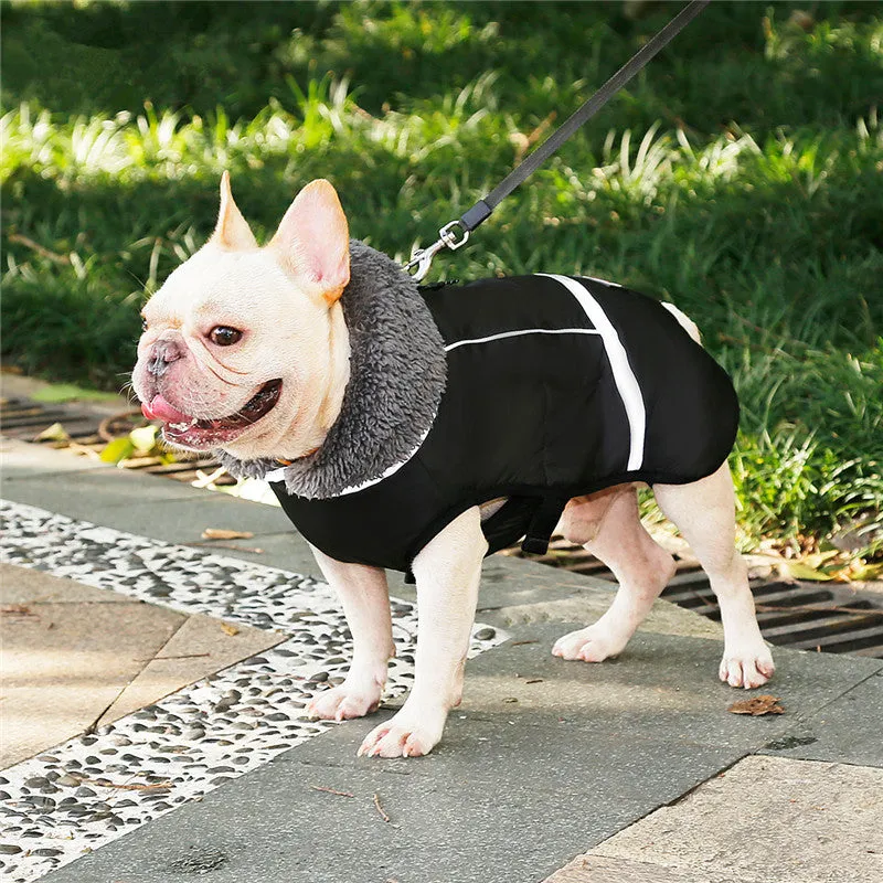 Dog clothes thick warm vest