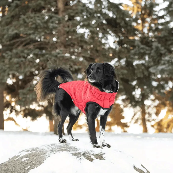 GF Pet Reversible Chalet Jacket Red For Dogs