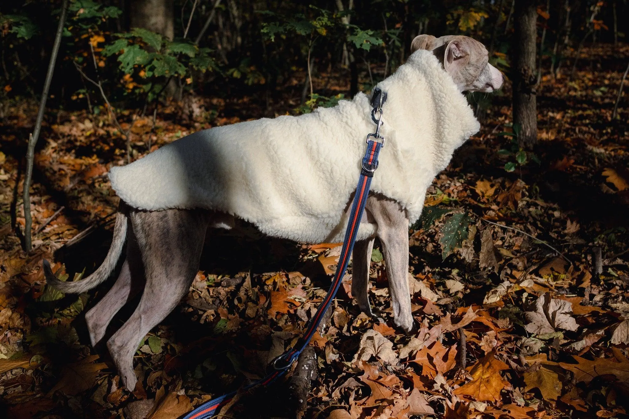 Woolen Dog Vest - White